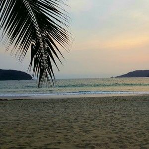 Meet your Posher, Vickie